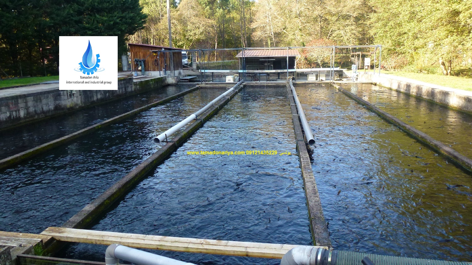 تصفیه آب پرورش ماهی